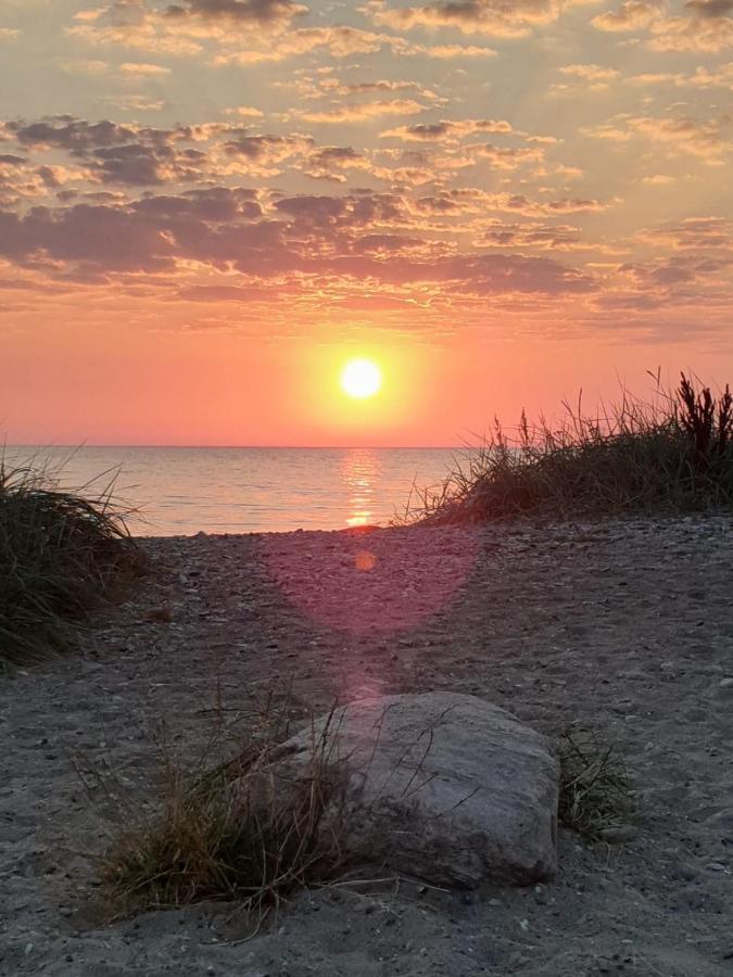Fewo Mit Meerblick - Direktzugang Zur Nordsee Apartment Wilhelmshaven Bagian luar foto